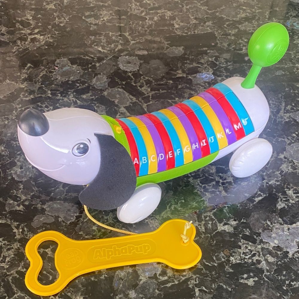 LeapFrog AlphaPup Toy Dog with Alphabet